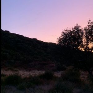 Meet your Posher, Gurnoor